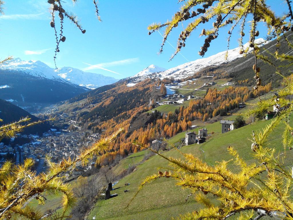 Agriturismo Raethia Isolaccia Bagian luar foto
