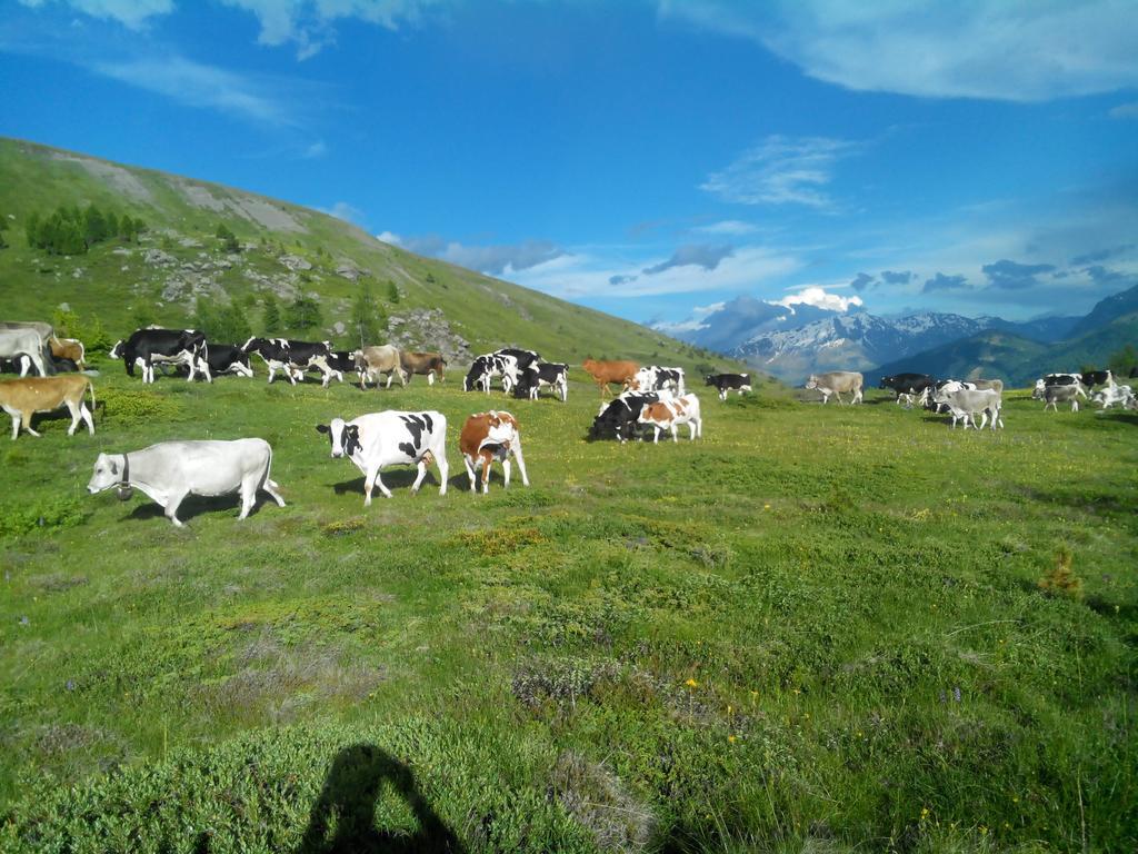 Agriturismo Raethia Isolaccia Bagian luar foto