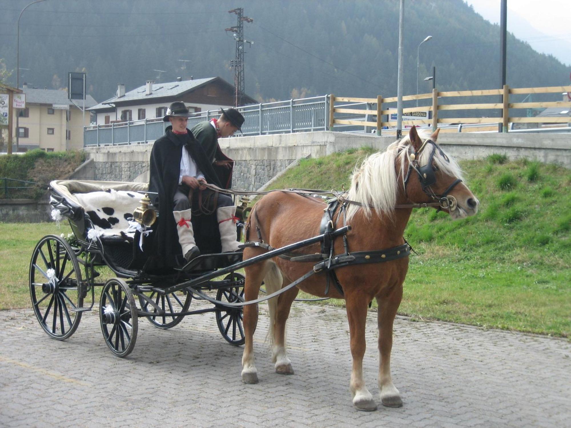 Agriturismo Raethia Isolaccia Bagian luar foto