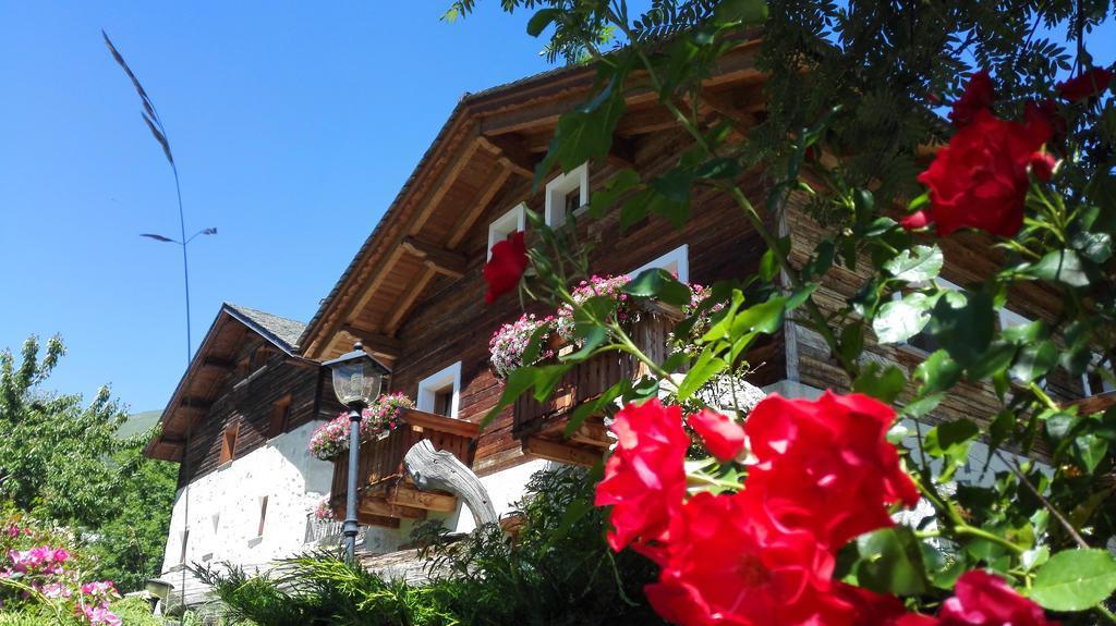 Agriturismo Raethia Isolaccia Bagian luar foto